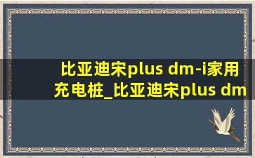 比亚迪宋plus dm-i家用充电桩_比亚迪宋plus dm-i家用充电桩选哪款